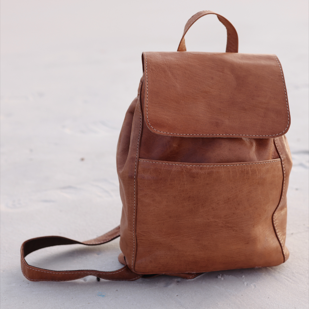 Atlass adventurer  Backpack