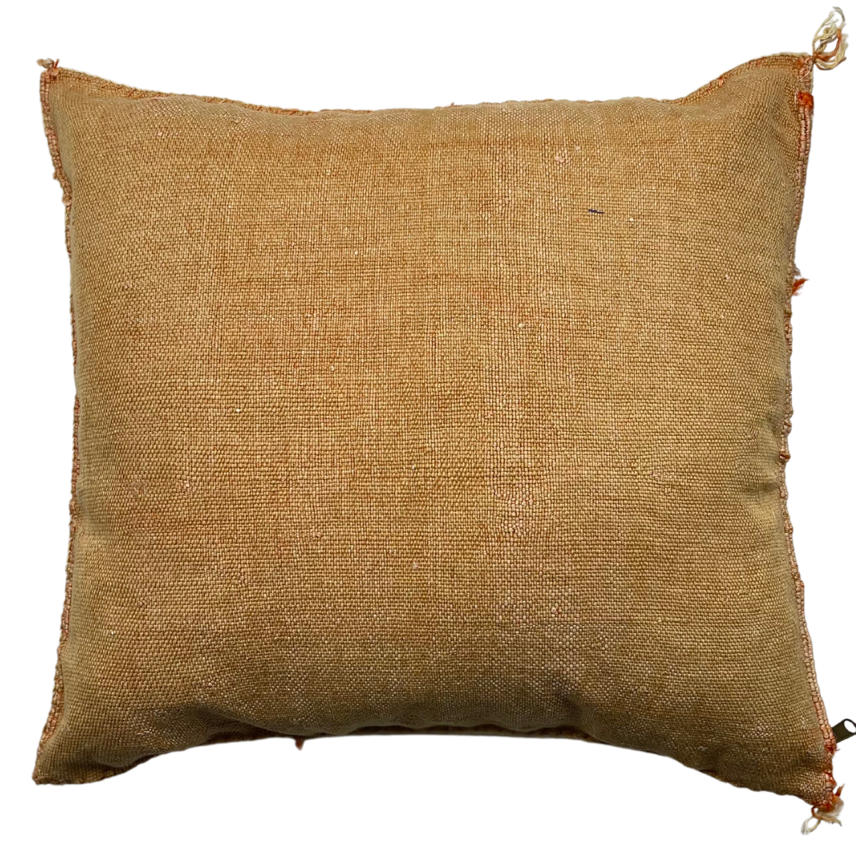 Sabra Cactus Silk Cushion Henna