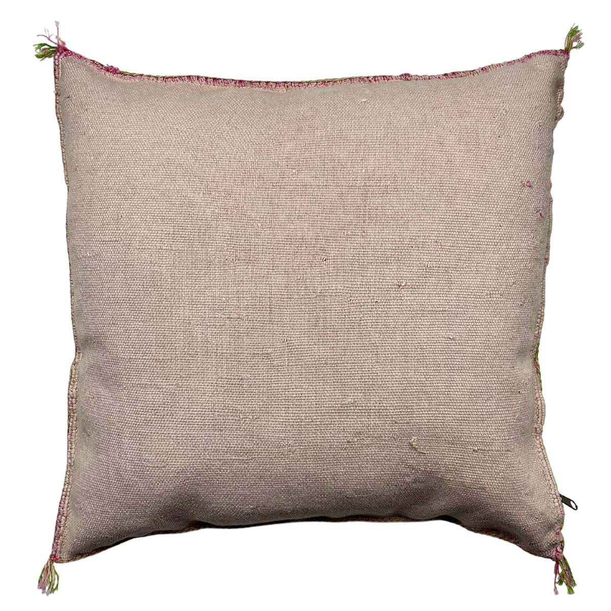 Sabra Cactus Silk Cushion Solange